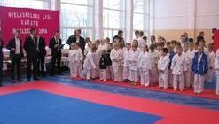 Przejdź do galerii: karate
