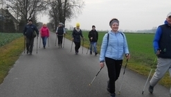 Przejdź do galerii: spacer nordic walking