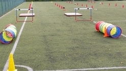 Przejdź do galerii: Dzień Sportu na orliku