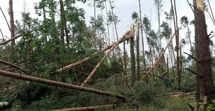 skutki nawałnicy na terenie gminy Mieleszyn