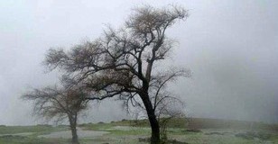 Ostrzeżenie o silnym wietrze