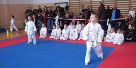 zawody karate styczeń 2018