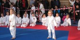 zawody karate styczeń 2018