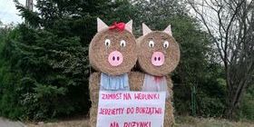 Dożynki Gminne 2018